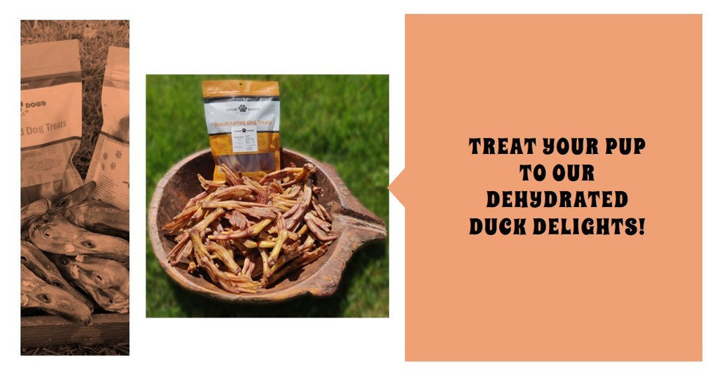 Crunchy Dehydrated Duck Feet - 8  - Healthy Chew for Pets