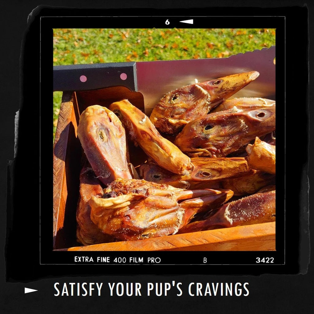 5 Pack of Dehydrated Duck Heads