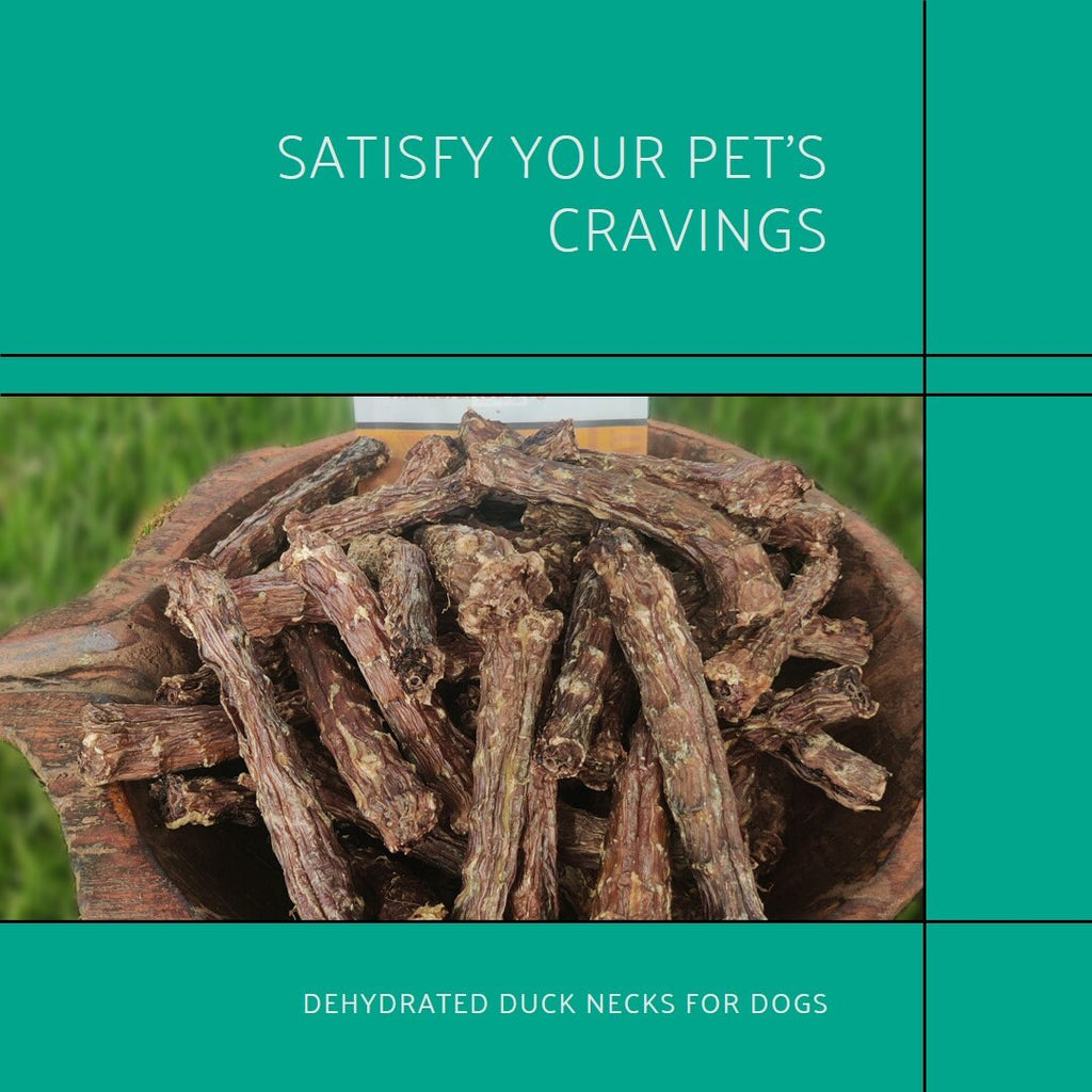 Crunchy Duck Neck Dehydrated Treats for Dogs ( 5 pieces)
