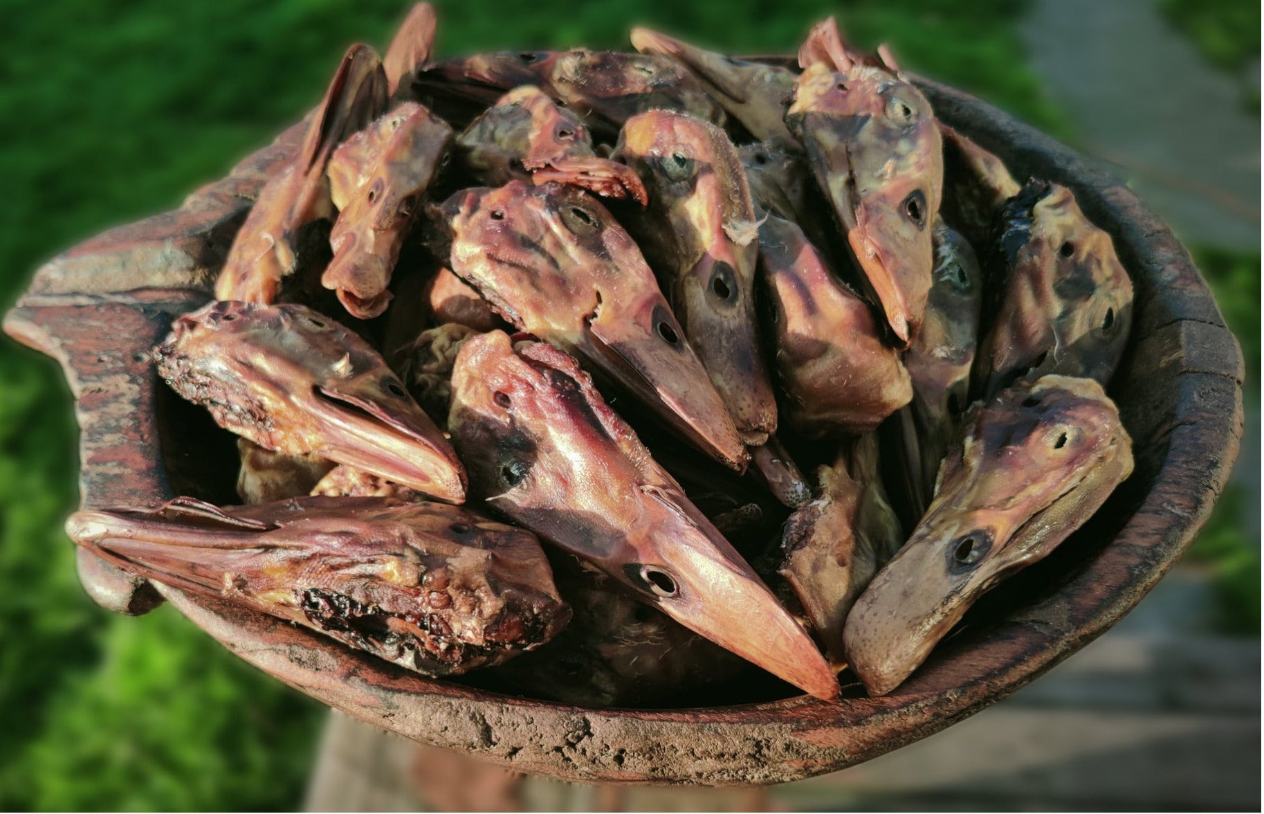 5 Pack of Dehydrated Duck Heads