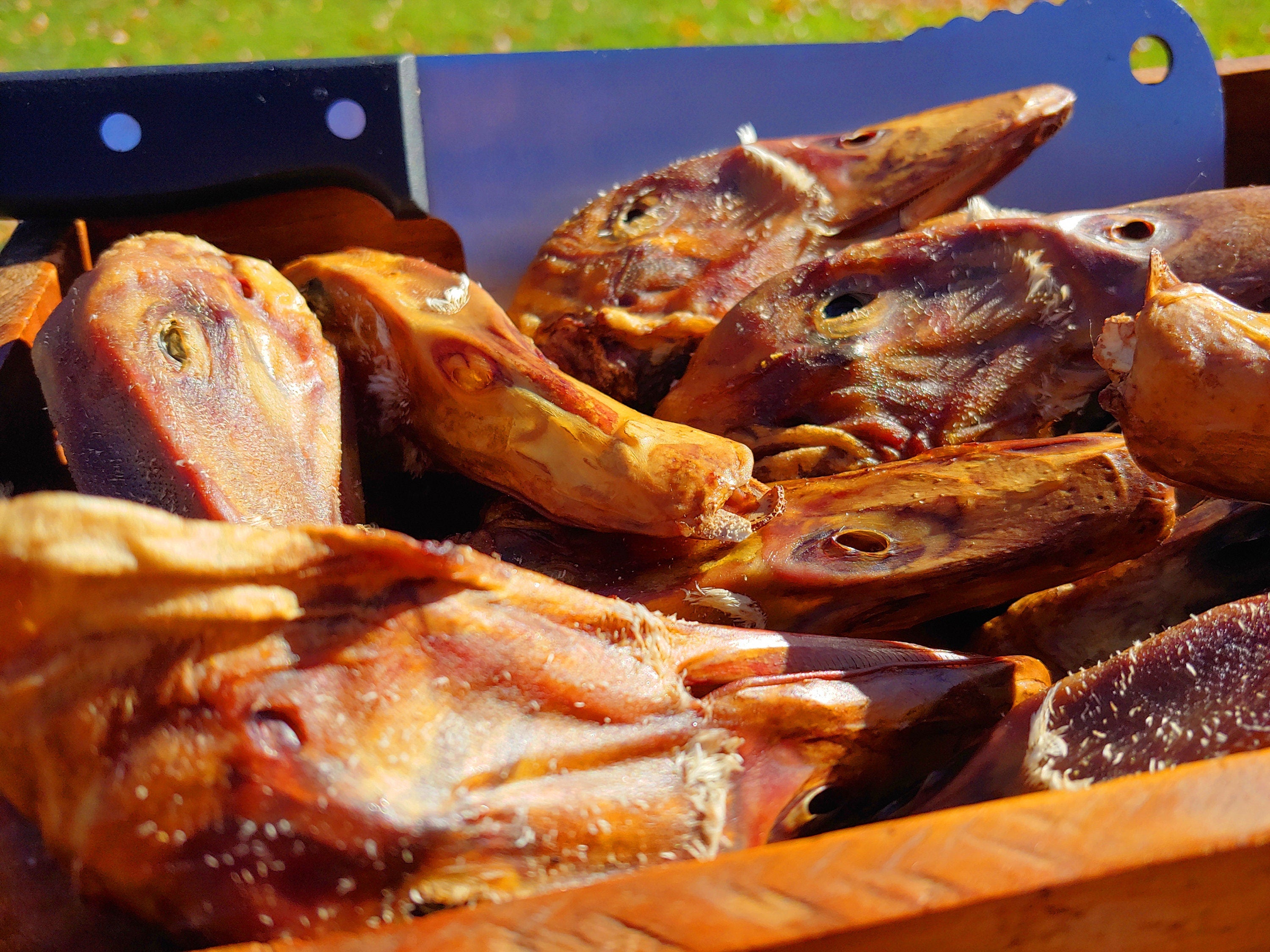 10 Pack ~ Dehydrated Duck Heads