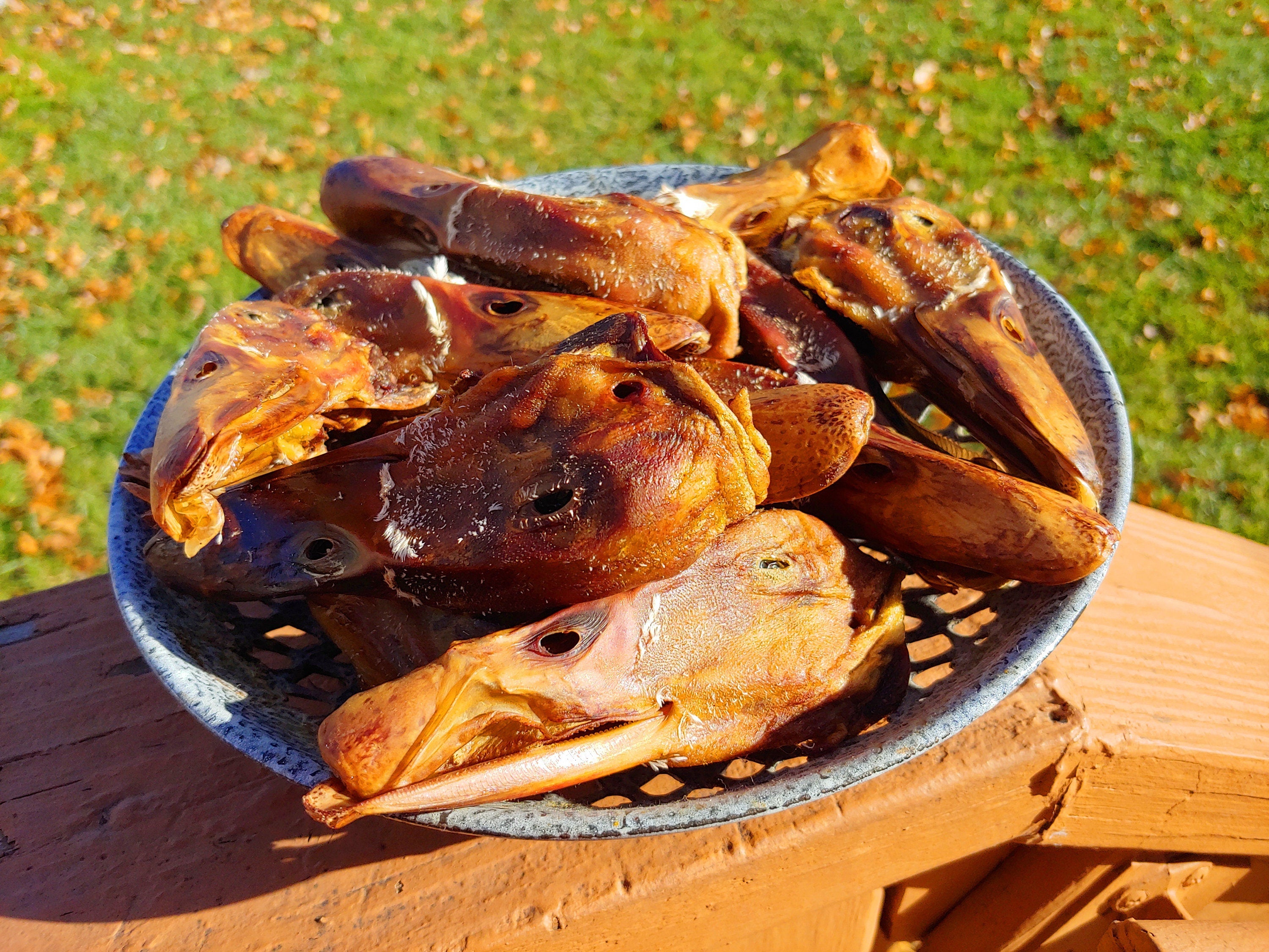10 Pack ~ Dehydrated Duck Heads