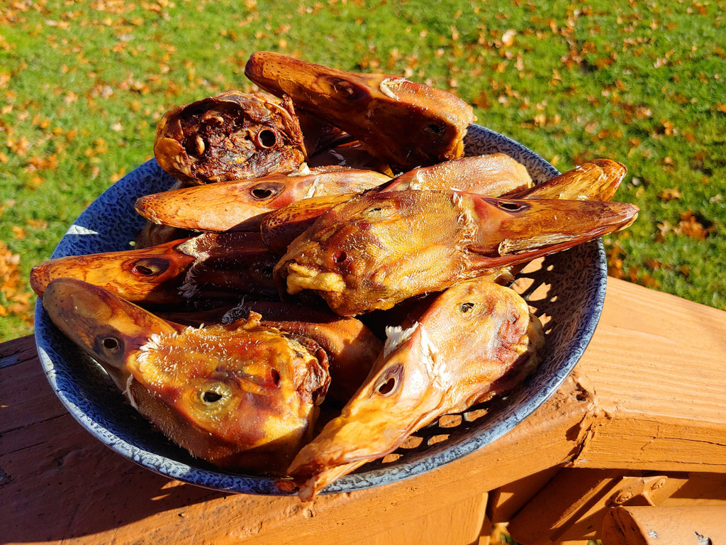 10 Pack ~ Dehydrated Duck Heads