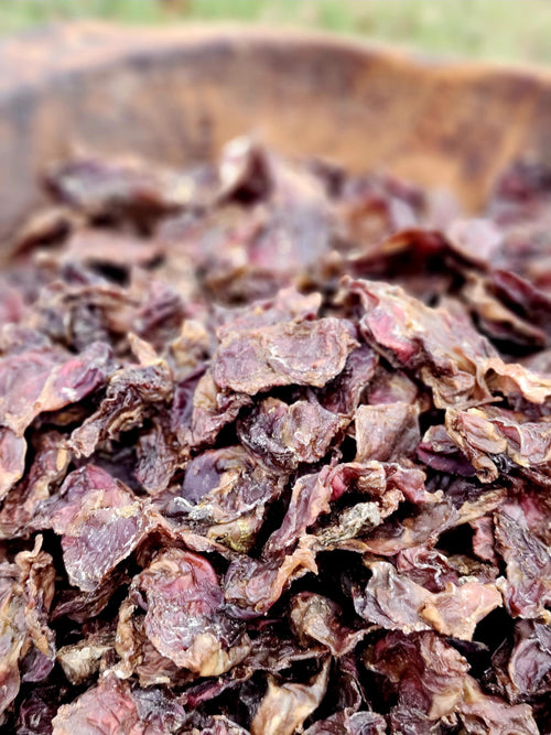 Chicken Gizzards - 4 oz, Healthy Pet Treats, All-Natural