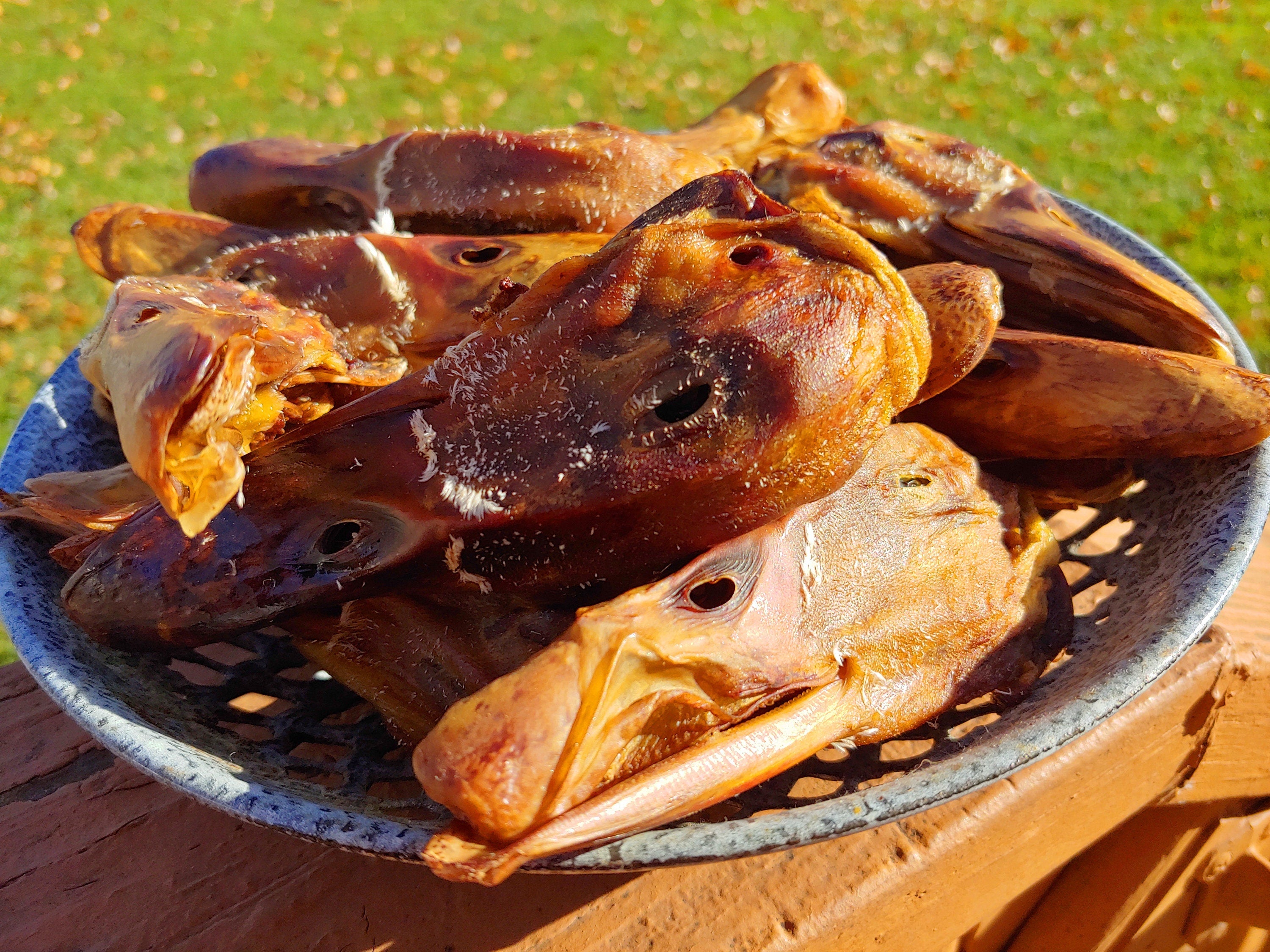 10 Pack ~ Dehydrated Duck Heads