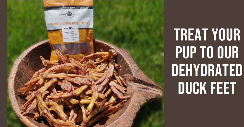 Crunchy Dehydrated Duck Feet - 8  - Healthy Chew for Pets
