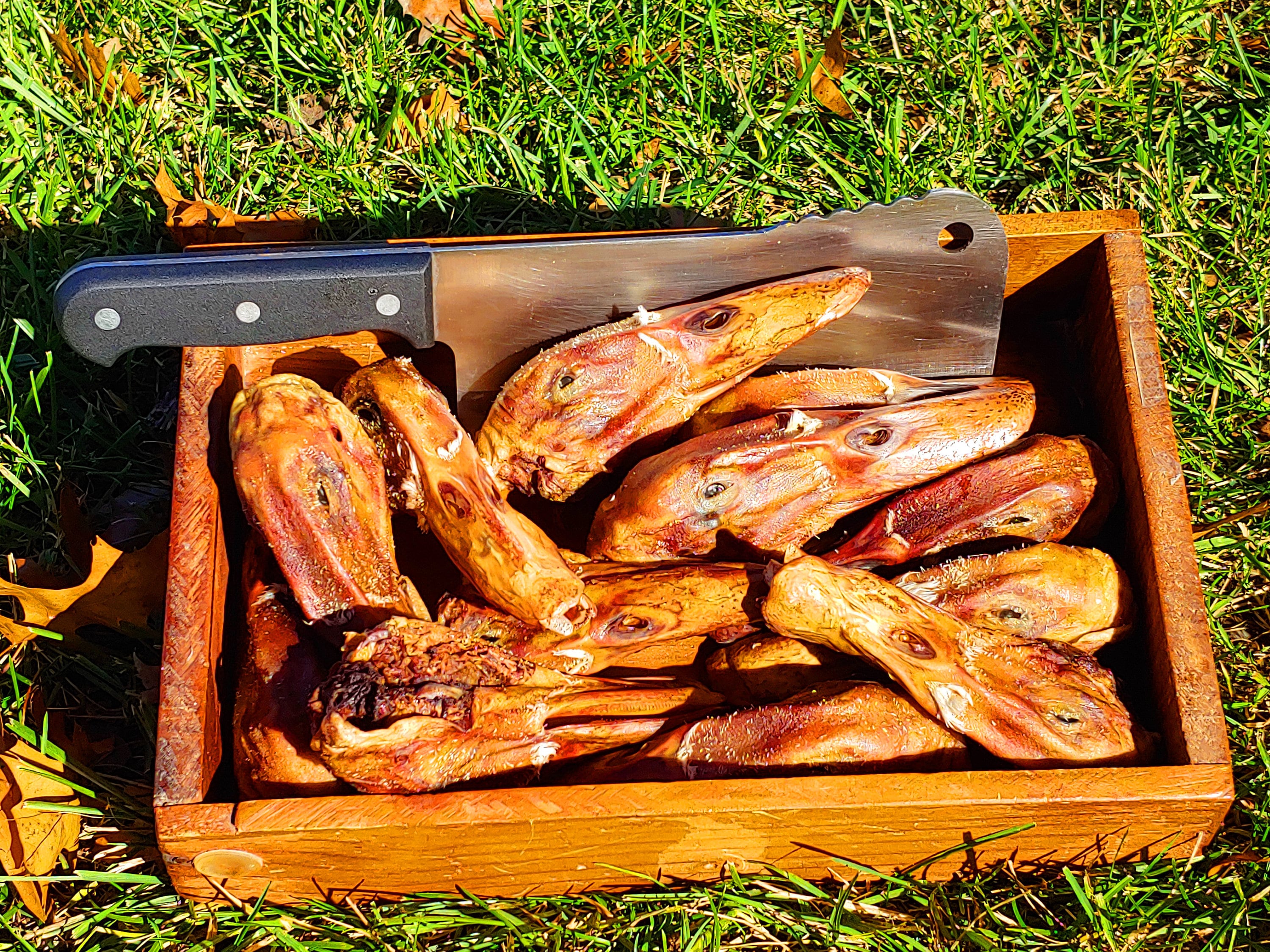 10 Pack ~ Dehydrated Duck Heads