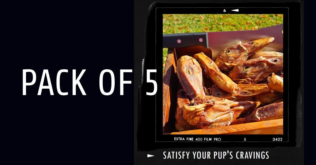 5 Pack of Dehydrated Duck Heads